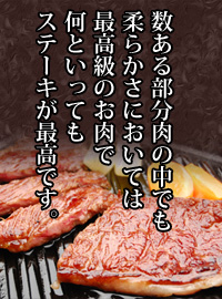 镔̒ł_炩ɂĂ͍ō̂ŁAȂƂĂXe[LōłB