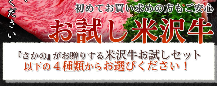 ́ẃx肷đ򋍂Zbg@ȉ4ނ炨IтI